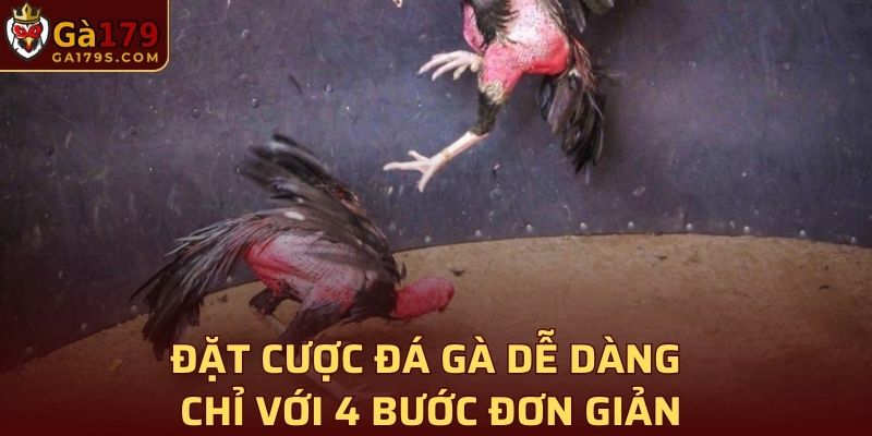 Đặt cược đá gà dễ dàng chỉ với 4 bước đơn giản