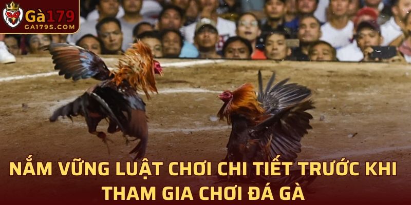 Nắm vững luật chơi chi tiết trước khi tham gia