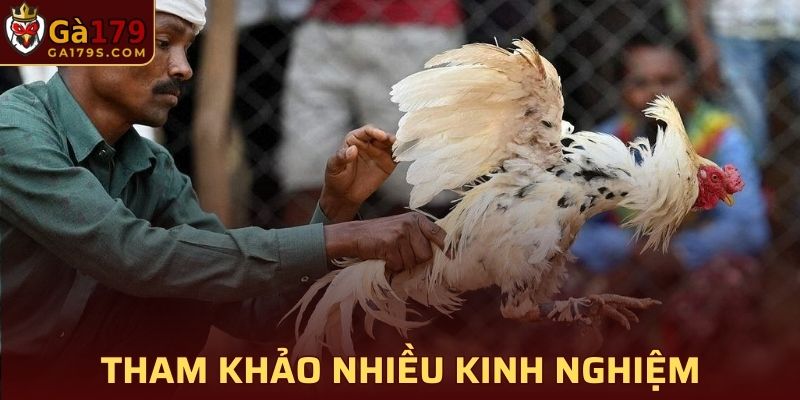Tham khảo càng nhiều kinh nghiệm cơ hội thắng tại GA179 càng cao